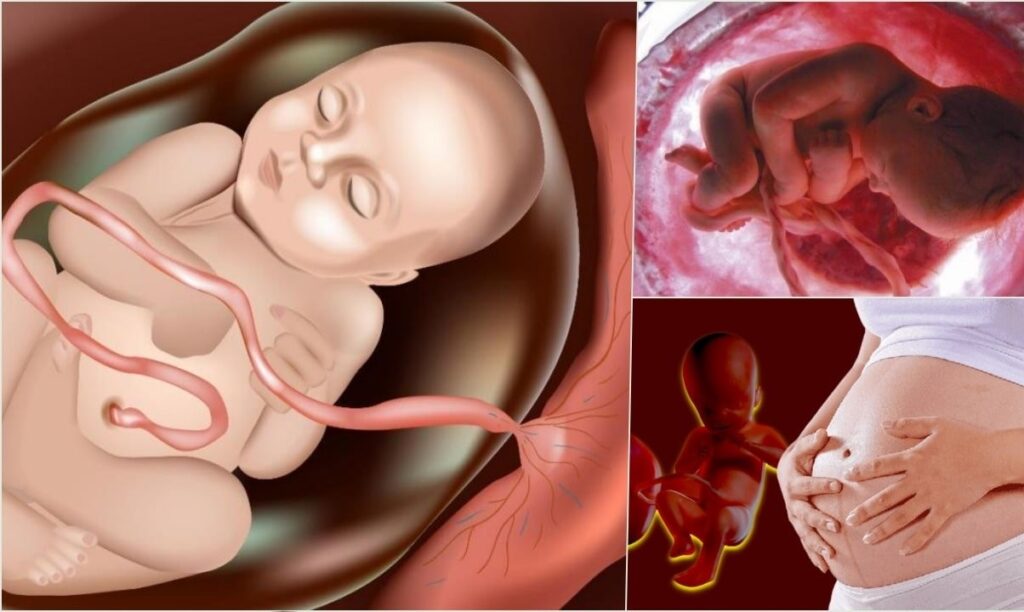 care during pregnancy