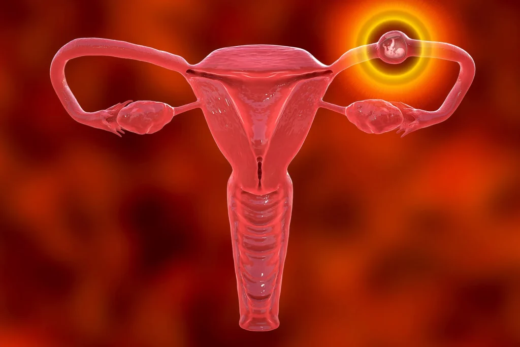 High-Risk Pregnancy Specialist