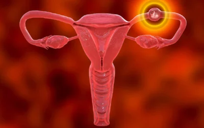 High-Risk Pregnancy Specialist