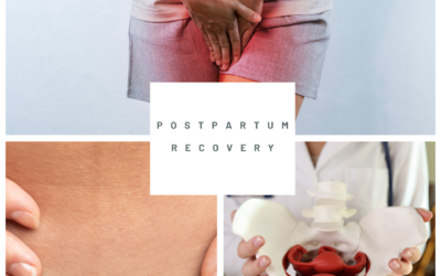 Best Gynecologist in Bhopal